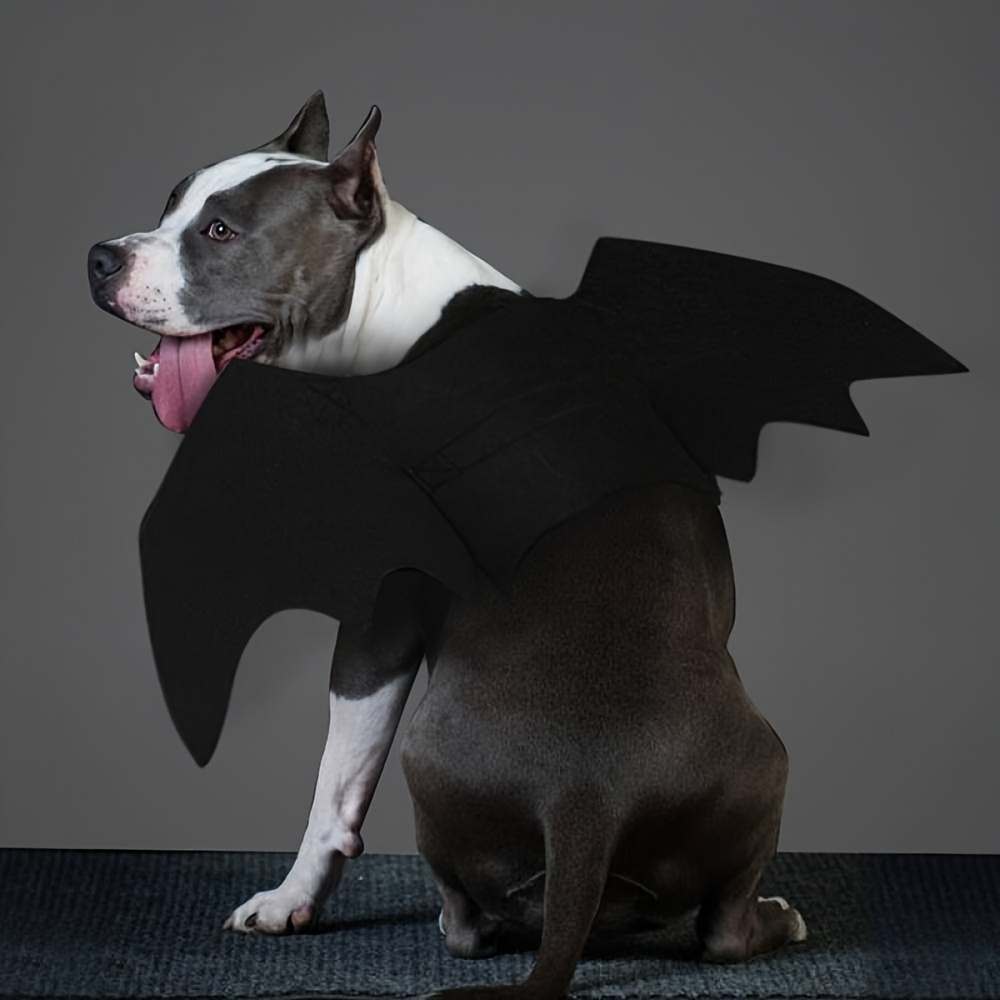 Hund Halloween Kostüm - Kostenloser Versand Für Neue Benutzer - Temu Austria