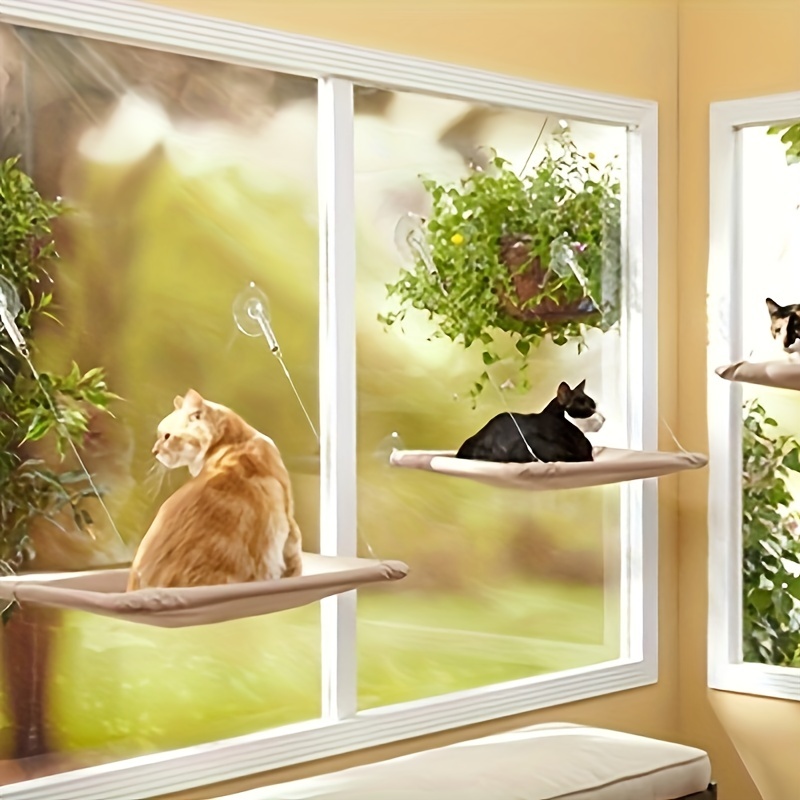 360 Sun-soaked Comfort: Hamaca de ventana de gato que ahorra espacio para  gatos de interior