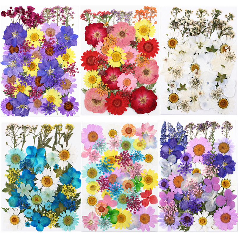 6 Layers Flower Press Kit DIY Plant Specimen Drying Board Floral Craft Tools