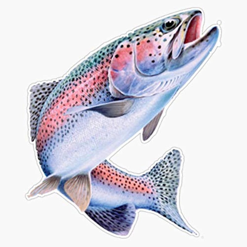 Yeti Trout Fishing 2 Vinyl Decal Sticker