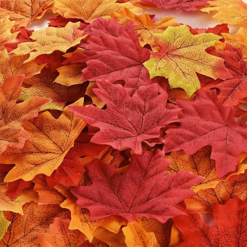 Dried Leaf - Temu Malaysia