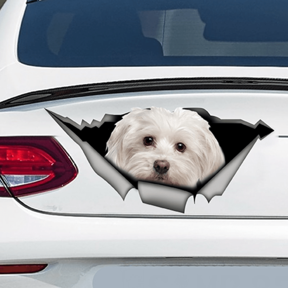 Pfotenabdruck-Aufkleber Für Hundepfoten Autoaufkleber Modellieren