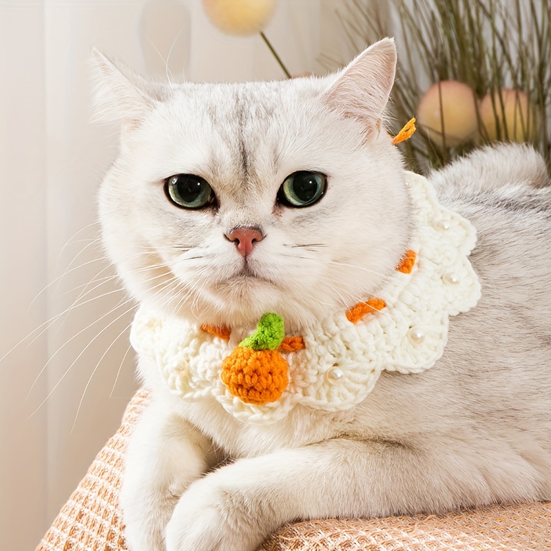 Kitten bandana outlet