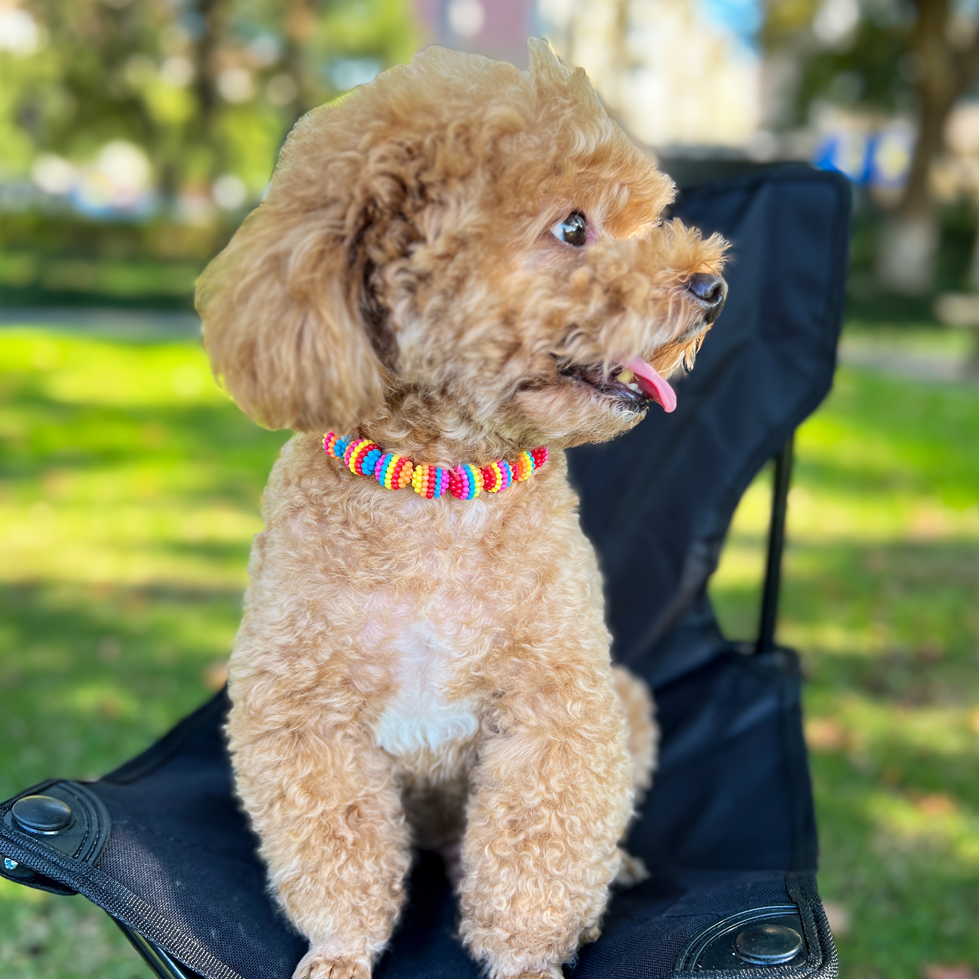 Female deals dog necklaces