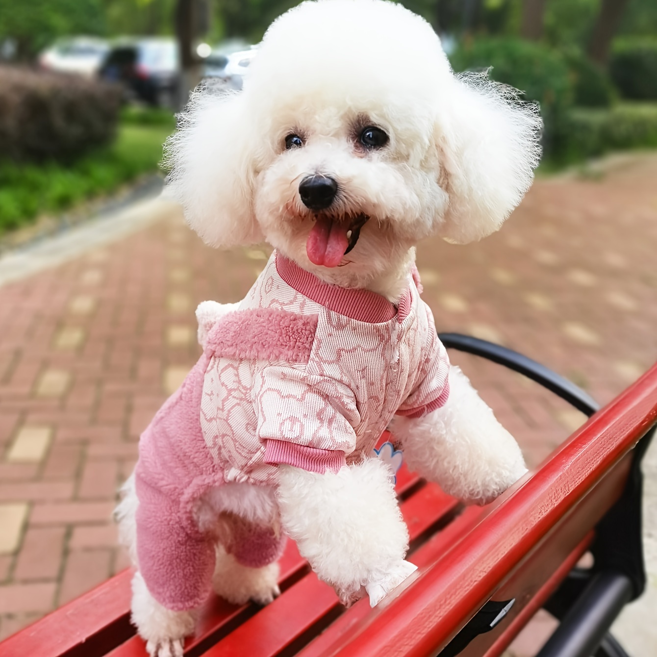 Vêtements Pour Animaux, Vêtements Dhiver Pour Chiens, Combinaison Épaisse  En Polaire Pour Animaux De Compagnie, Vêtements Chauds Pour Animaux De  Compagnie, Peut Accrocher La Corde De Plomb - Accessoires Animaux - Temu  France