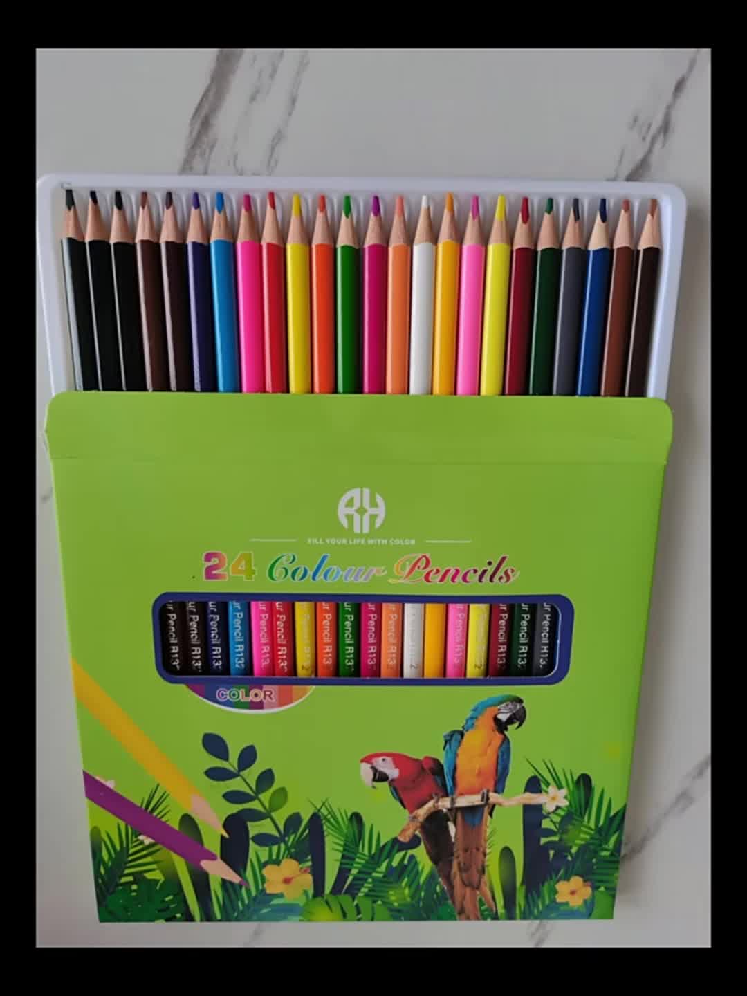 MindWare Lápices de colores para niños y adultos, ideales como lápices de  dibujo o suministros para el aula, juego de 36 lápices de colores en un