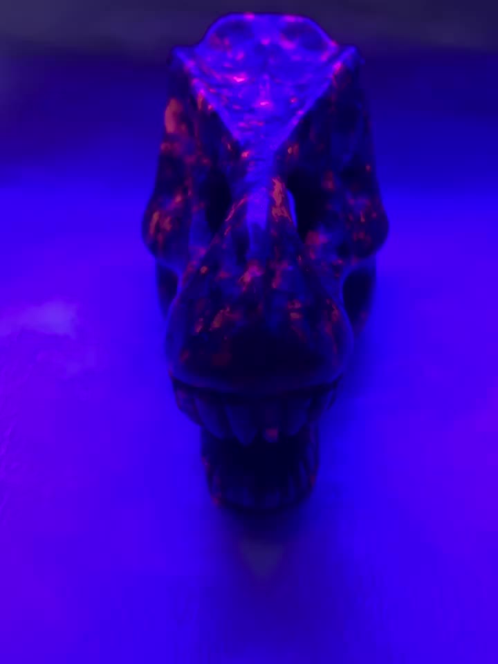 Natural Sodalite Flint Dinosaur Skull Carved Ornament Healing Crystal