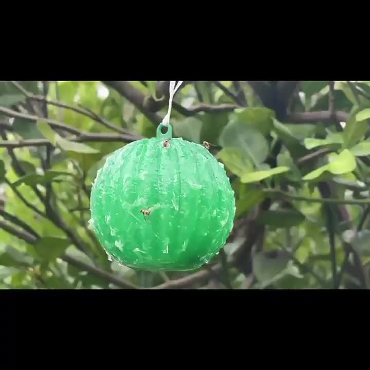 Fruit shaped Sticky Fly Trap Keep Garden Free Mosquitoes - Temu Canada
