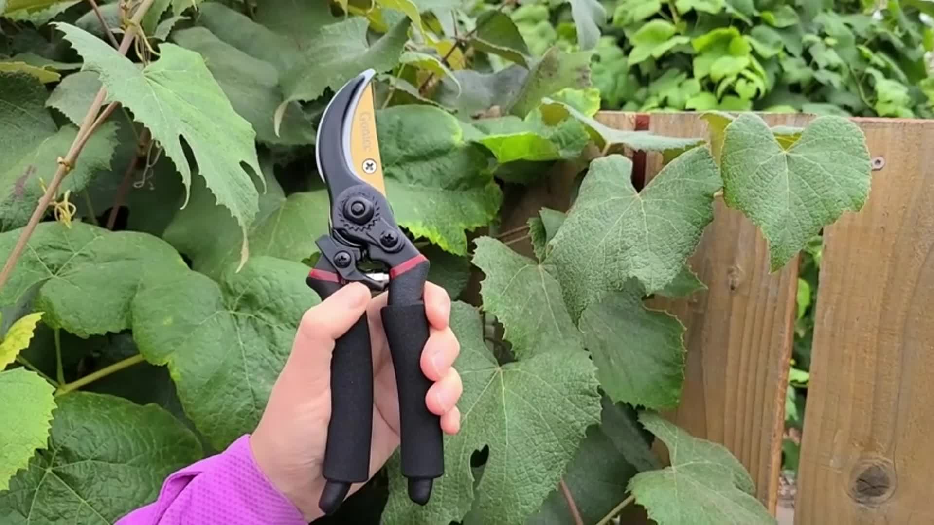 Professional Pruning Shears, Gardening Scissors, Hand Pruners, Garden  Clippers, Heavy Duty Tree Trimmers, Adjustable Shear Range, Safety Lock -  Temu