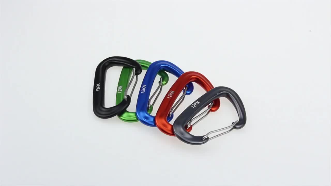 2 Pieces Carabiner Clip Heavy Duty 12kn (1200kg) Climbing