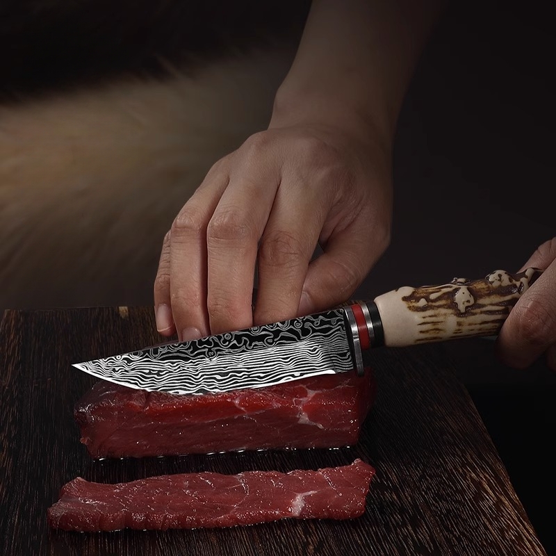 XITUO Kitchen Chicken Bone Scissors – Master Chef Knives