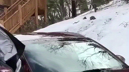 Winter Car Snow Cover Foldable Car Windshield Cover Sunshade - Temu  Philippines