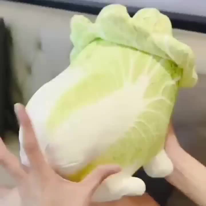 Cute Cabbage Plush Dog Toy Soft And Huggable Vegetable - Temu