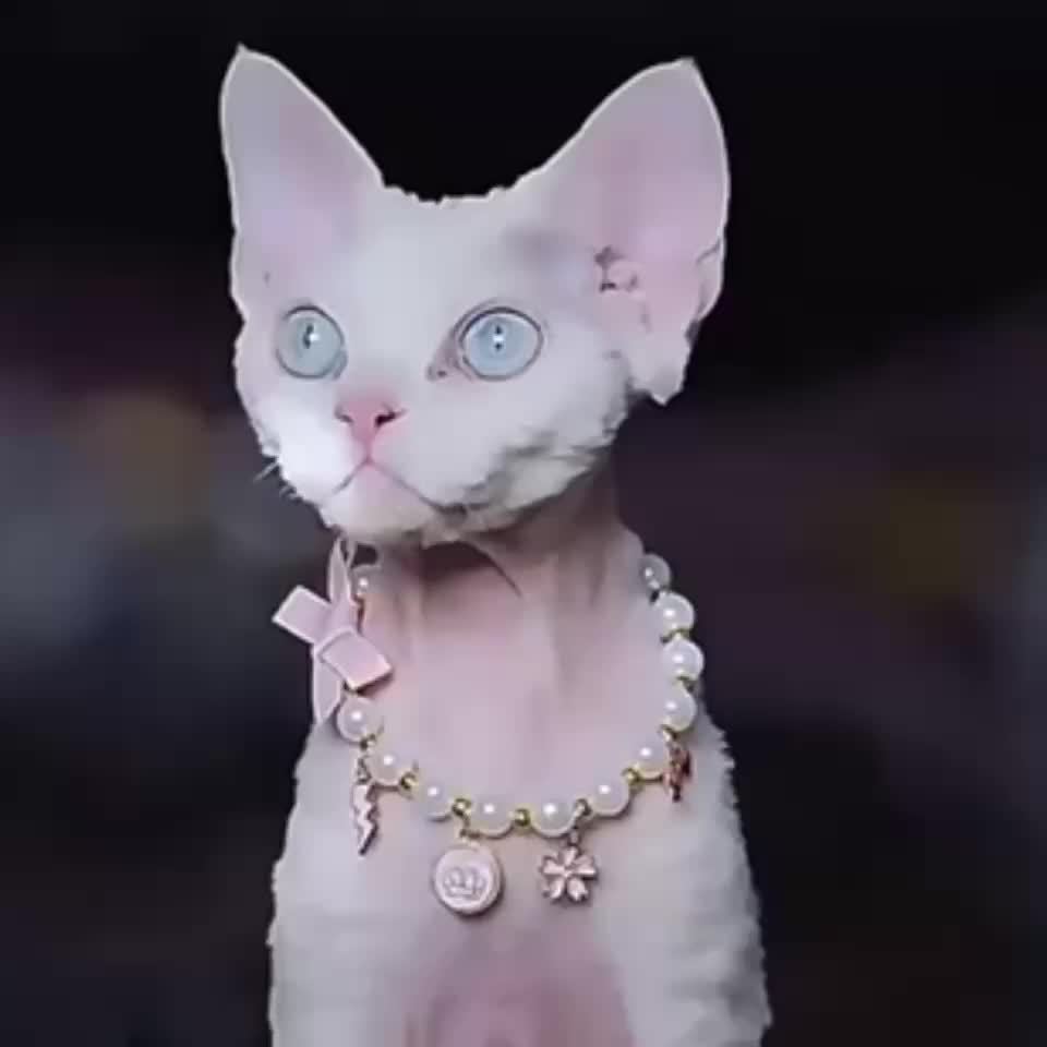 Elegant Pet Necklace For Cats, Unique Handmade Pet Collar Ornament, Cat  Cute Neck Bib, Puppet Cat Kitten Halter Neck, Cats Pearl Necklace Gifts For  Pets - Temu