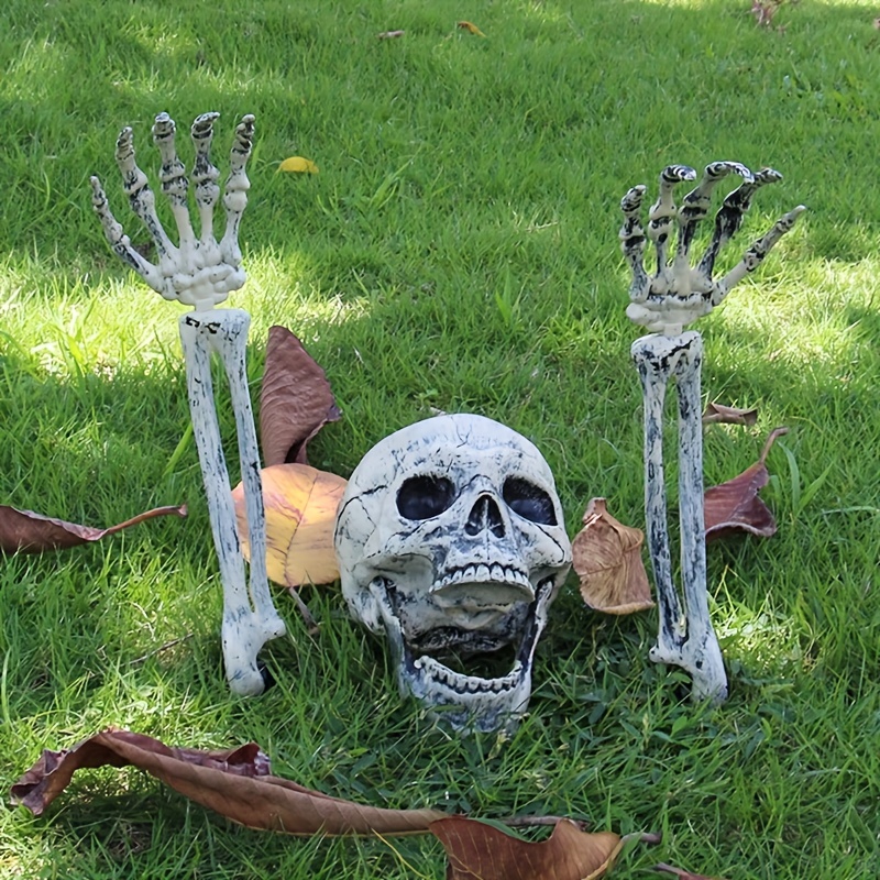 Decoración de calaveras de Halloween, cabeza de calaveras de aspecto  realista, esqueleto humano falso, juguete de plástico para bromas de  Halloween