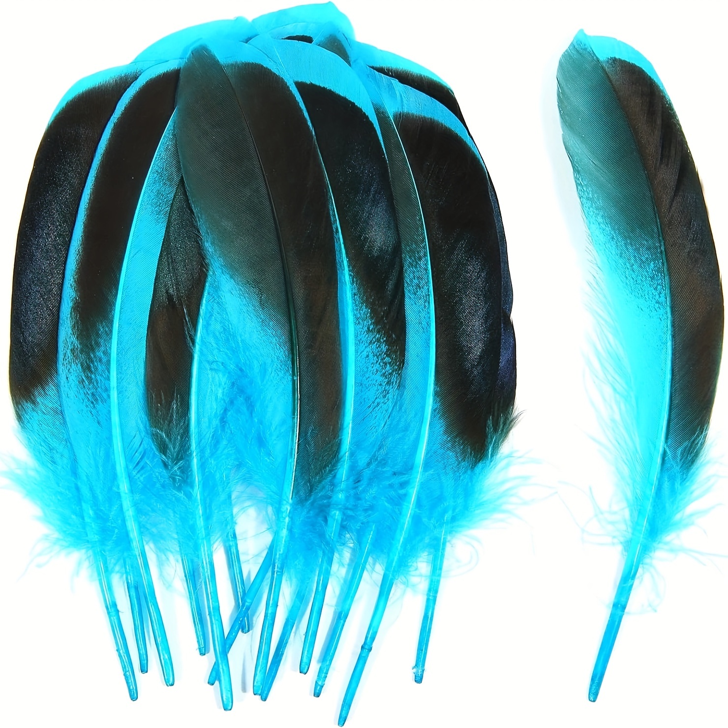 Blue Feathers - Temu