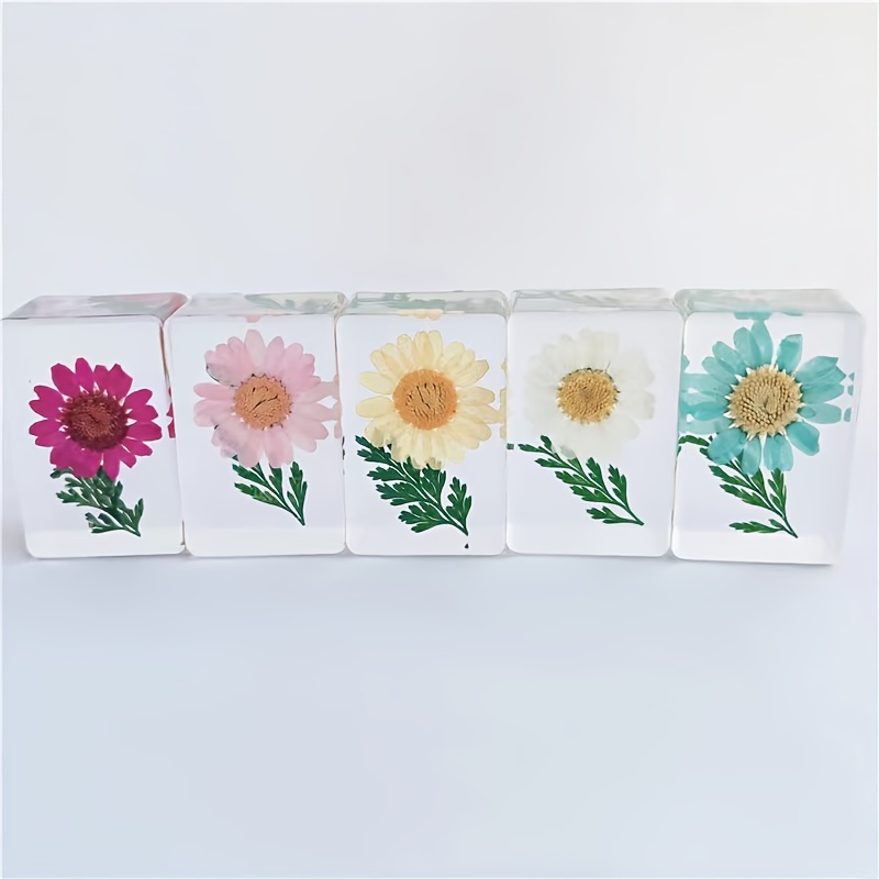 Set di fiori per pressa essiccata manuale pressa per stampi per fiori Pre- pressa per Album fai-da-te fai-da-te - AliExpress