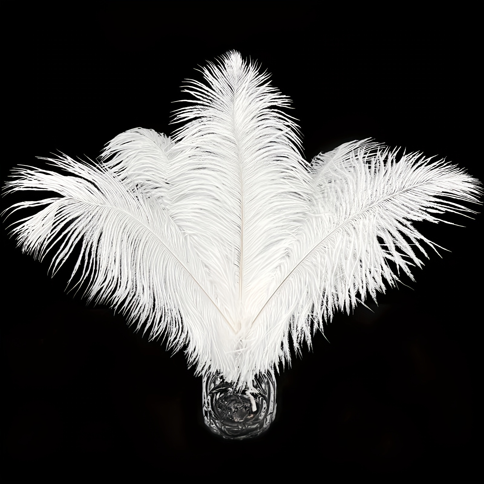 100 plumas blancas para manualidades, plumas de gallo, plumas de faisán de  5 a 7 pulgadas, plumas para joyería, aretes, hacer atrapasueños, decoración