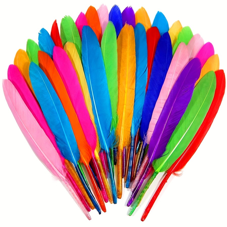 Cheap 200Pcs 4-6 Inch Feathers for Crafting Mixed-Colors Feathers for Crafts  Feathes for Wedding