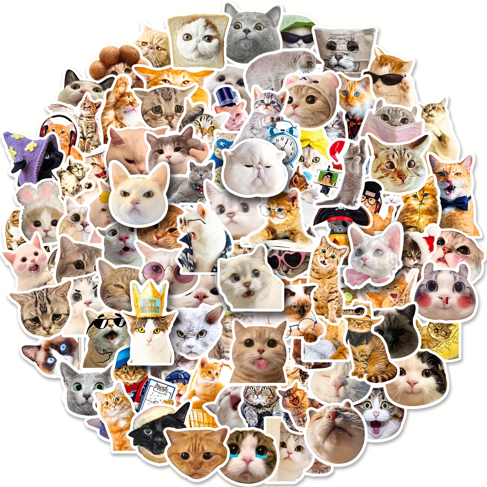 50 Funny Funny Cat Waterproof Doodle Decorative Reusable - Temu