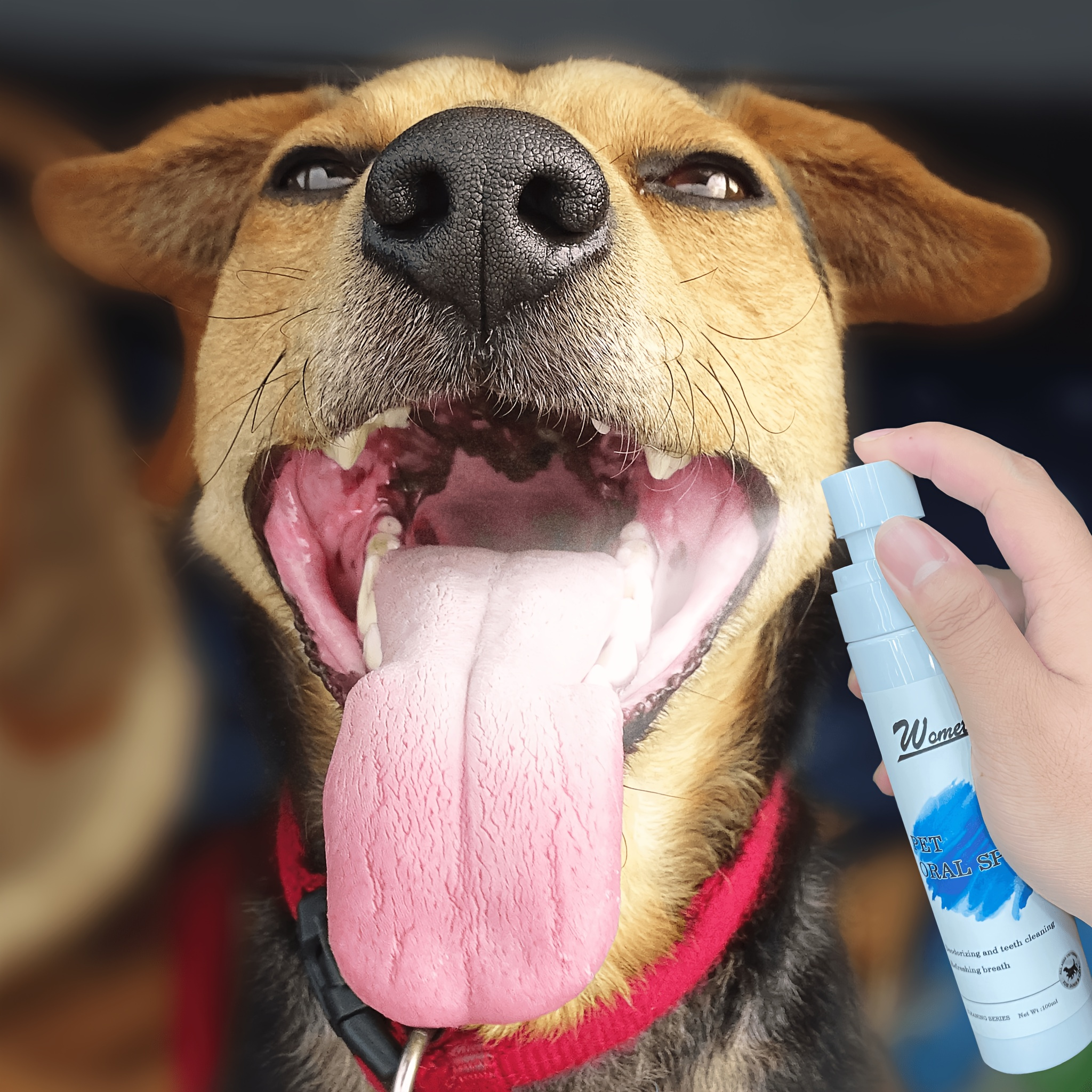 Spray De Pet Malodorant Jouet Parodie Divertissement Puant - Temu
