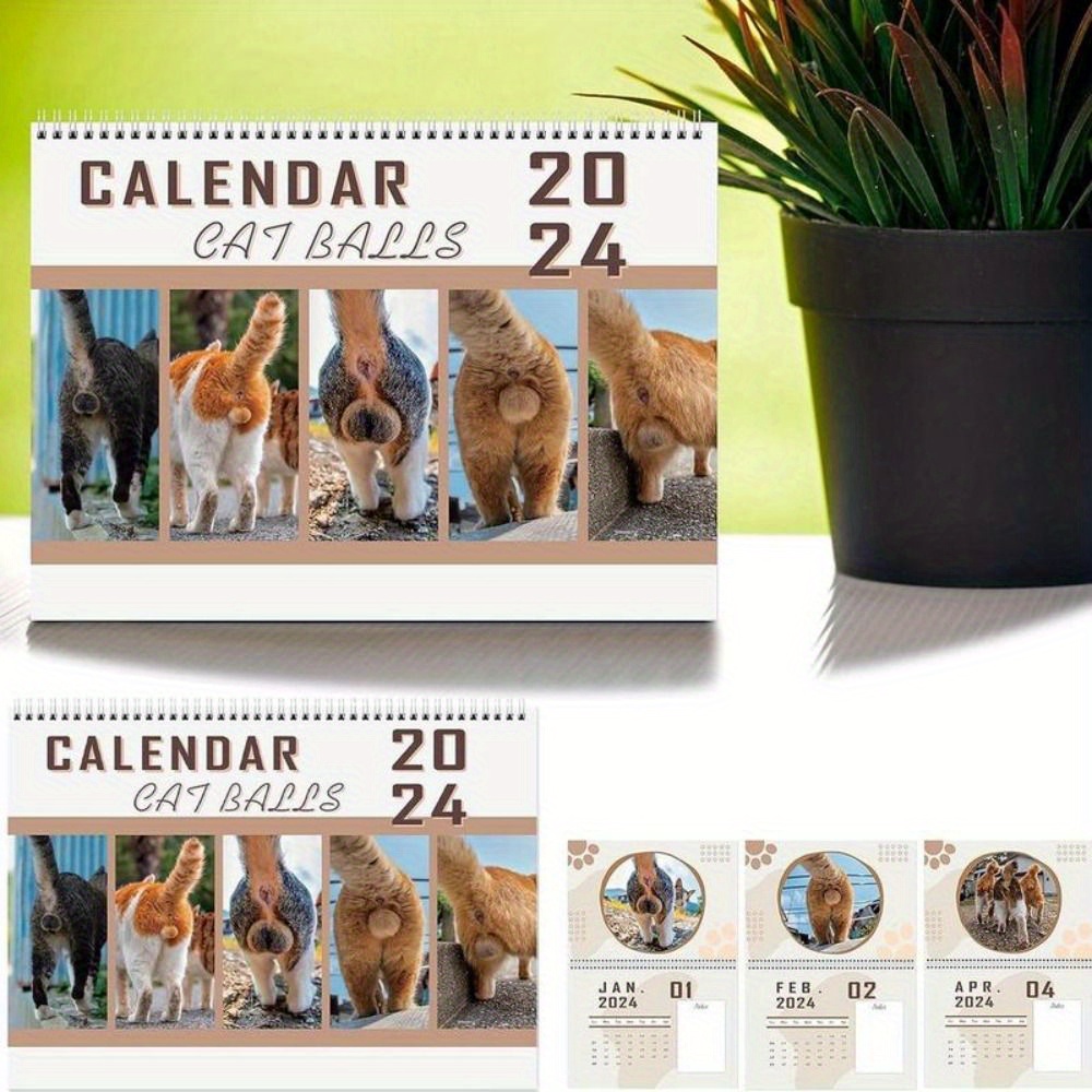 Bright Day Calendrier mural magnétique 2024 pour réfrigérateur - 16 mois -  20,3 x 25,4 cm - Juillet 2023 à décembre 2024 - Chats : :  Fournitures de bureau