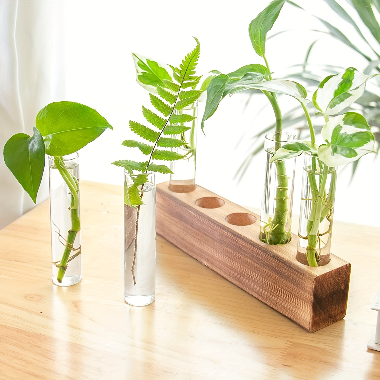 Station de multiplication pour plantes, stations de culture en verre, mini  vases en verre à essai, 3 étages à suspendre