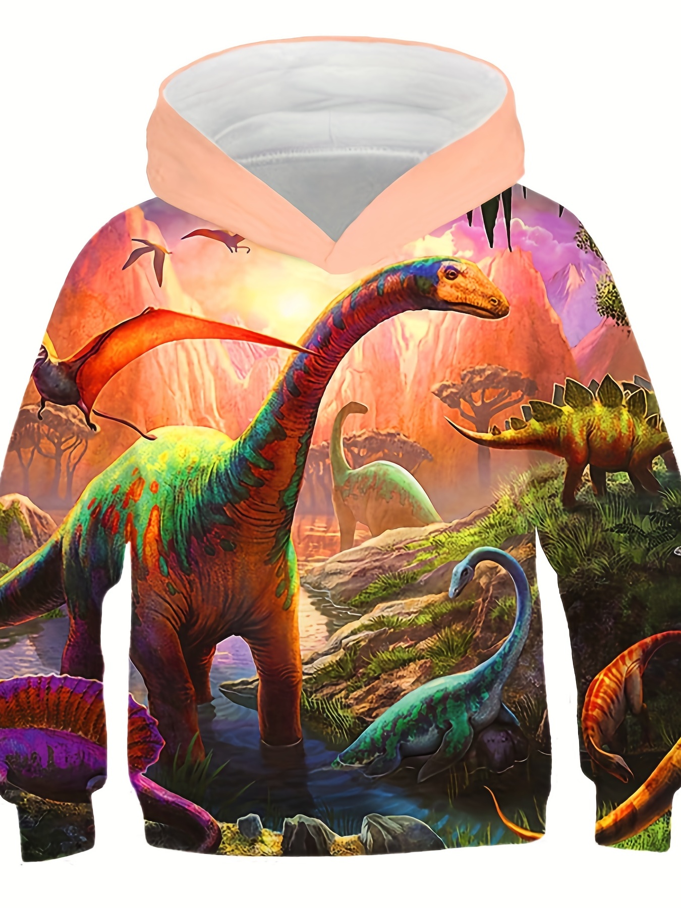 Kids clearance dinosaur hoodie