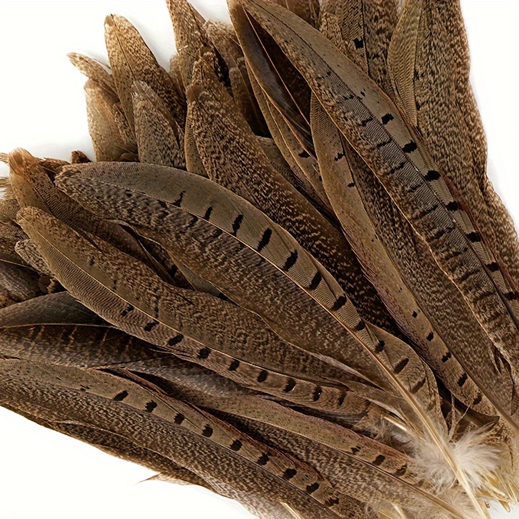 Natural Pheasant Tails Assorted Feather