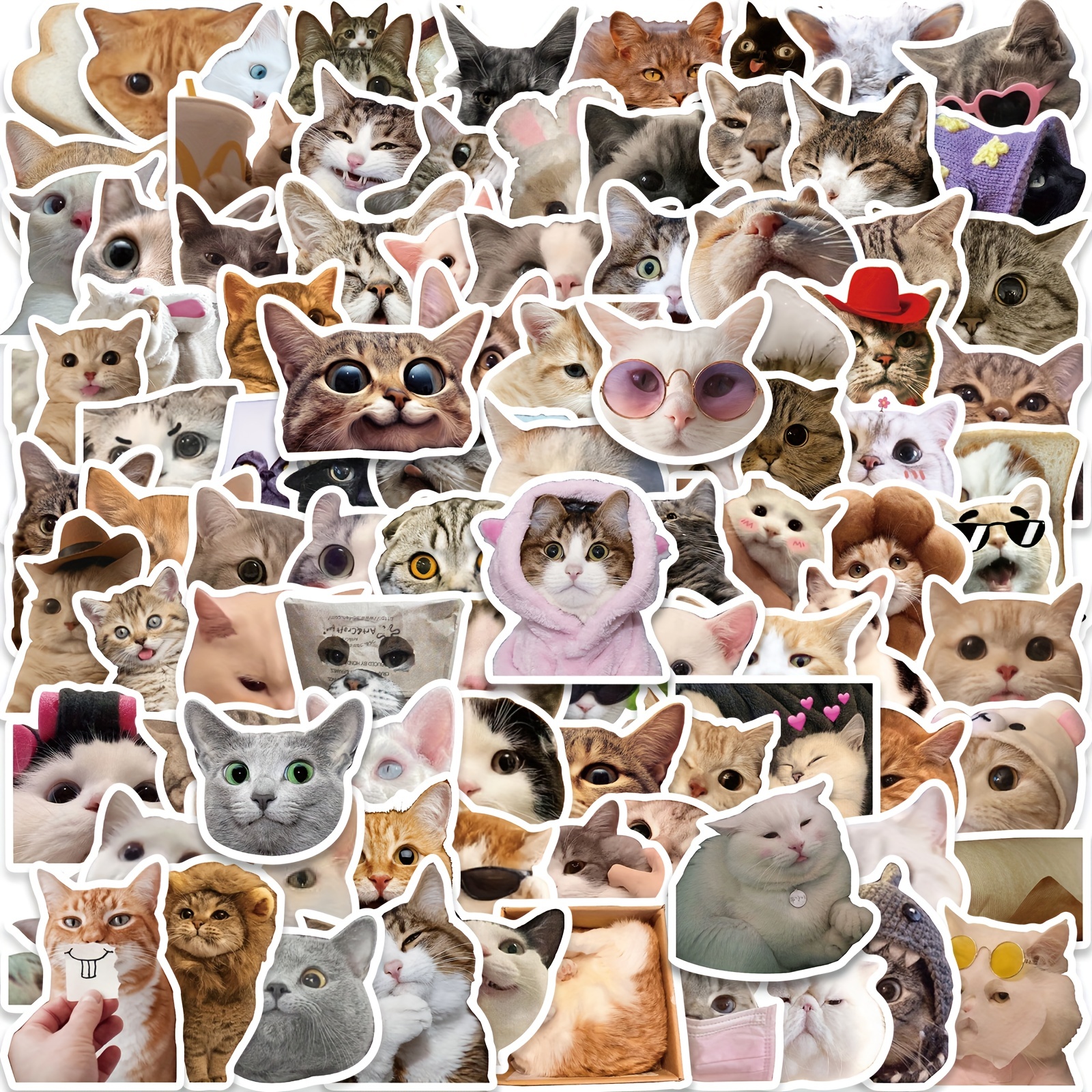 69 Funny Food Cat Head Stickers Mobile Phone Case Laptop Waterproof Stickers