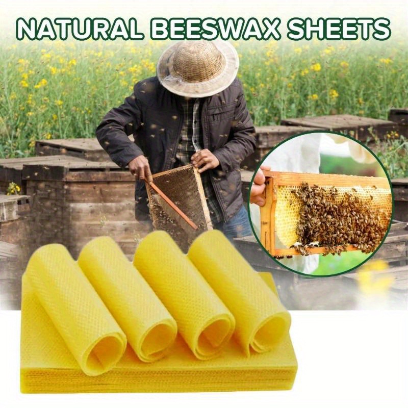 1bag Natural Beeswax Pellets - 453g Beeswax Pastilles Pure Bulk Bees Wax  Pellets For DIY Beewax Making Candles Skin Care Lip Balm Soap Lotion (1lb)