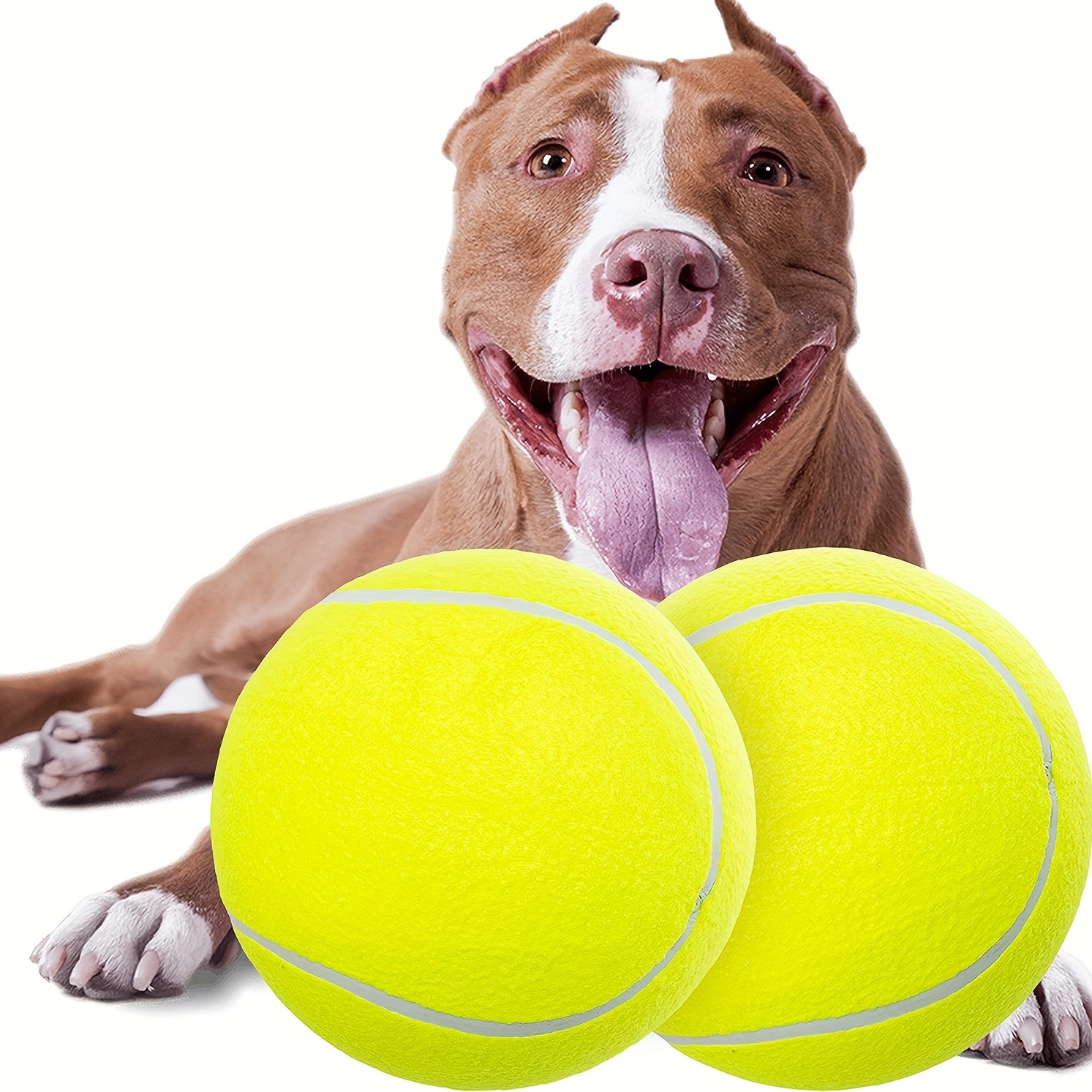 Dog best sale lacrosse ball