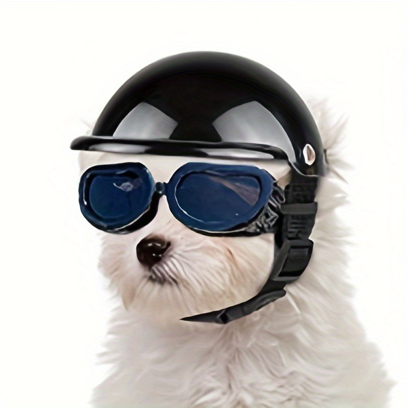 Casque de chien lunettes ensemble casque pour animaux de compagnie