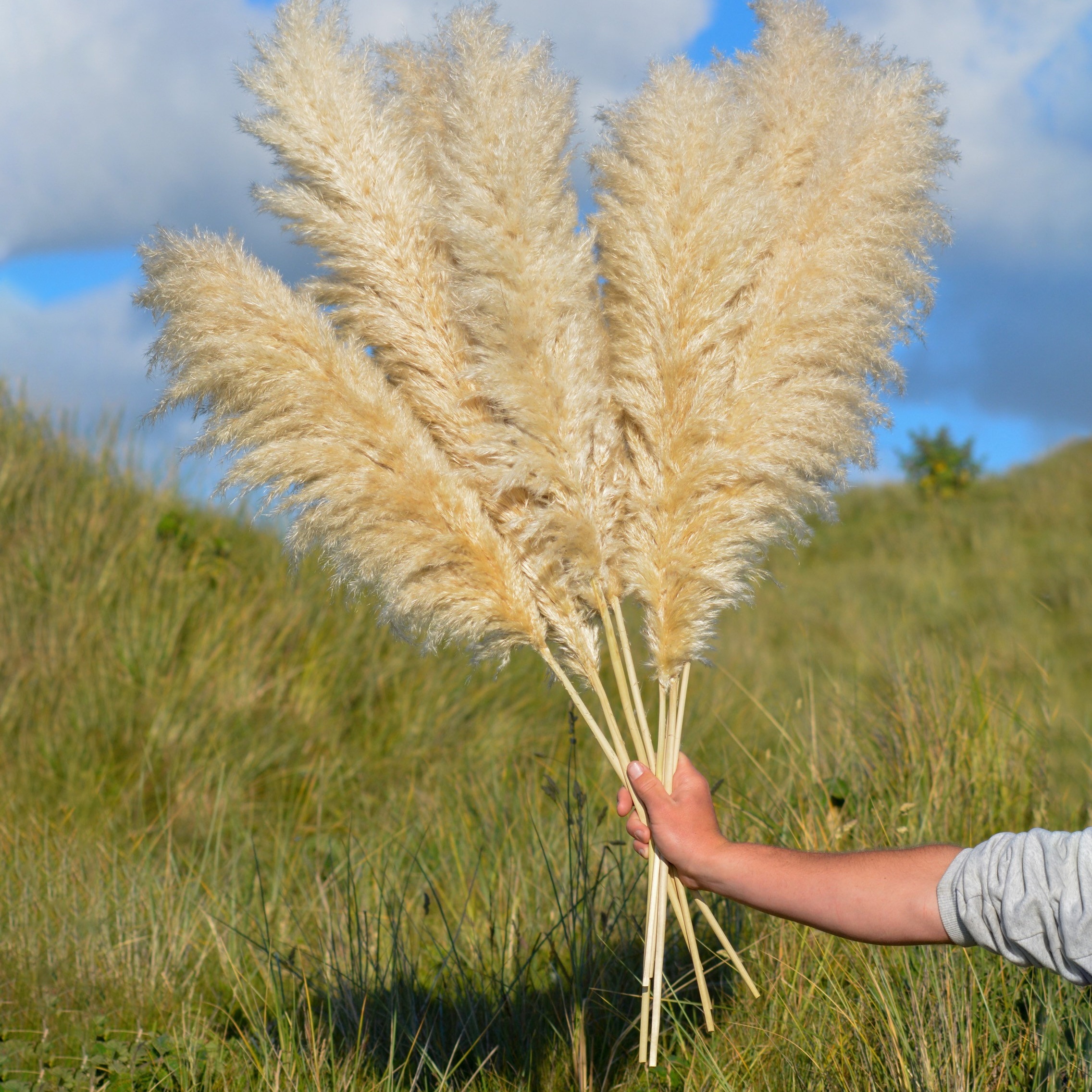 12pcs Pampas Grass Artificial 19 48cm Tall Pampas Grass Decor Faux Pampas  Grass Fluffy Fake Plants Decorative Artificial Flowers Boho Wedding Home  Decor Fall Farmhouse Room Decor Home Decor - Home 