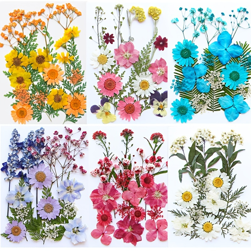 140 piezas de flores secas prensadas para resina, flores prensadas reales,  hojas secas, kit de hierbas naturales a granel para álbumes de recortes