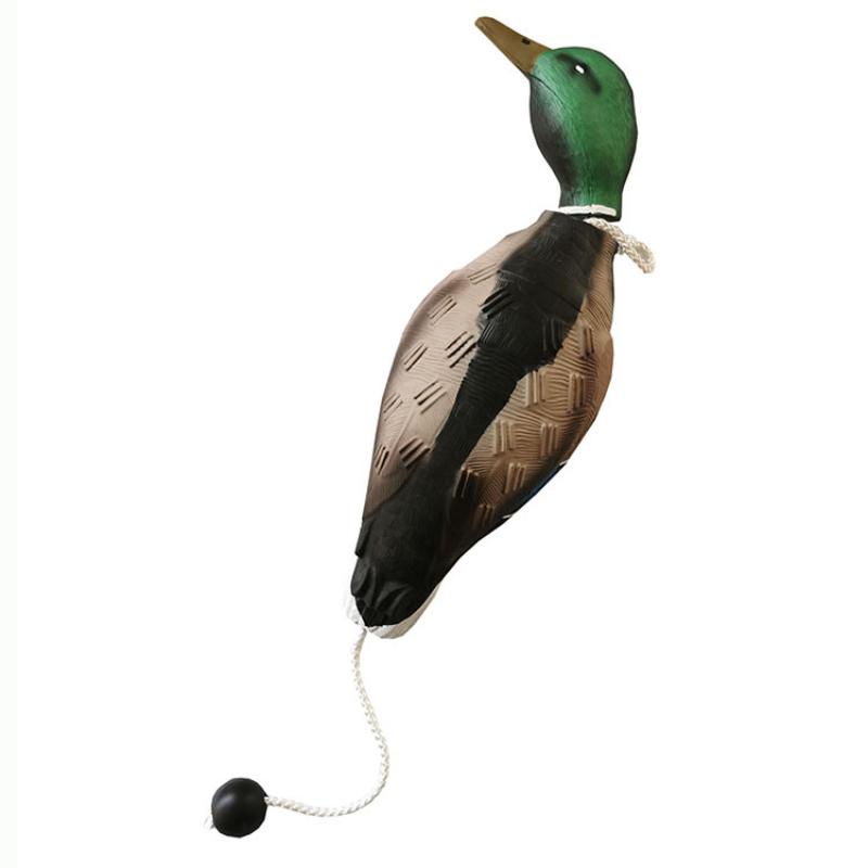 Jouet Créatif D'oiseau Siffleur Transparent. Le Klaxon - Temu France