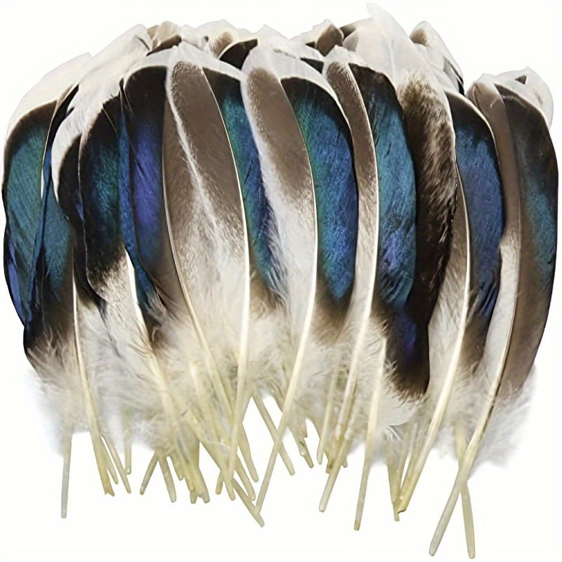  12Pcs Hat Feathers for Cowboy Hats, Small Feathers for Hats,  Natural Assorted Feathers Cowboy Hat Feather, Colorful Craft Feathers Hat  Feathers for DIY Craft Accessories Decorations (12 Style) : Arts, Crafts