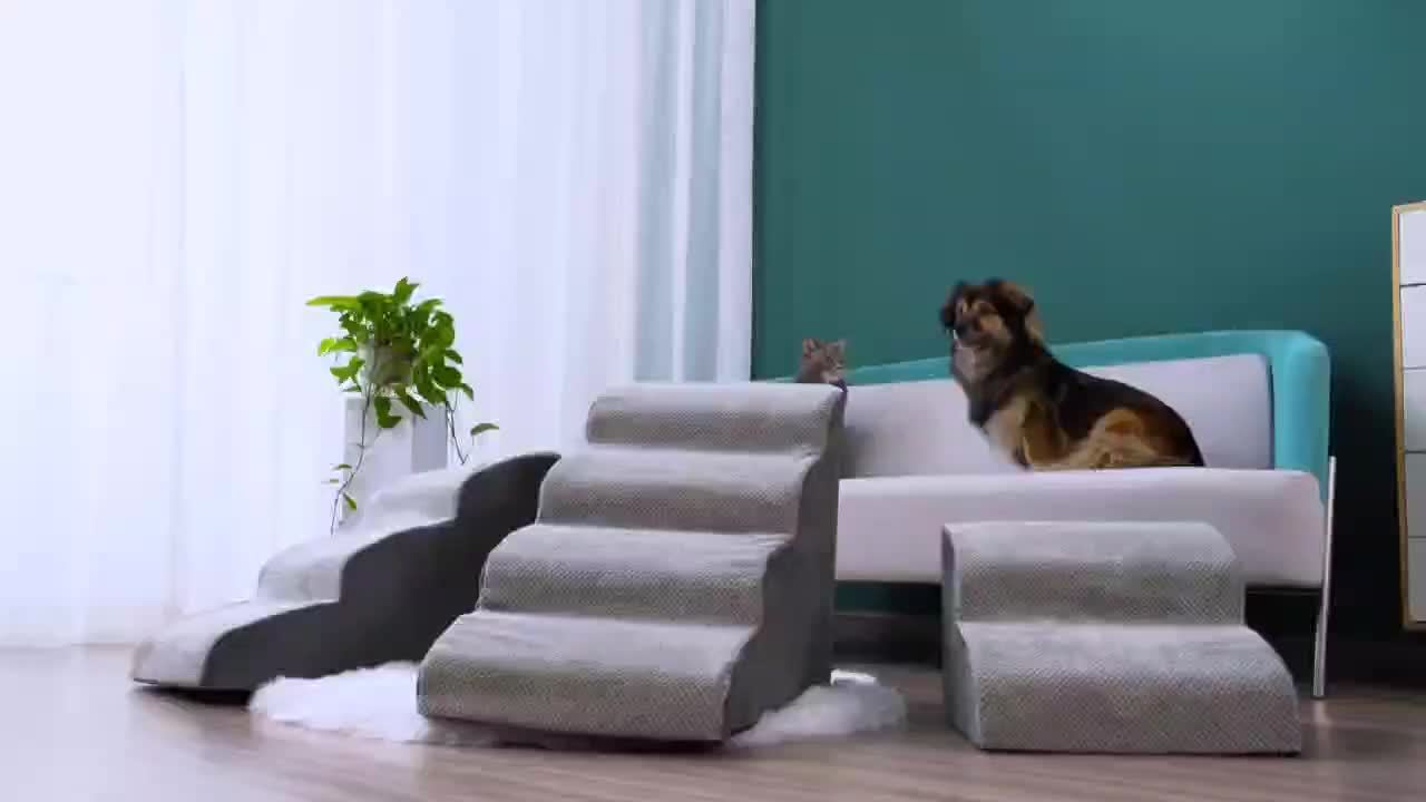 Paws and clearance pals dog ramp