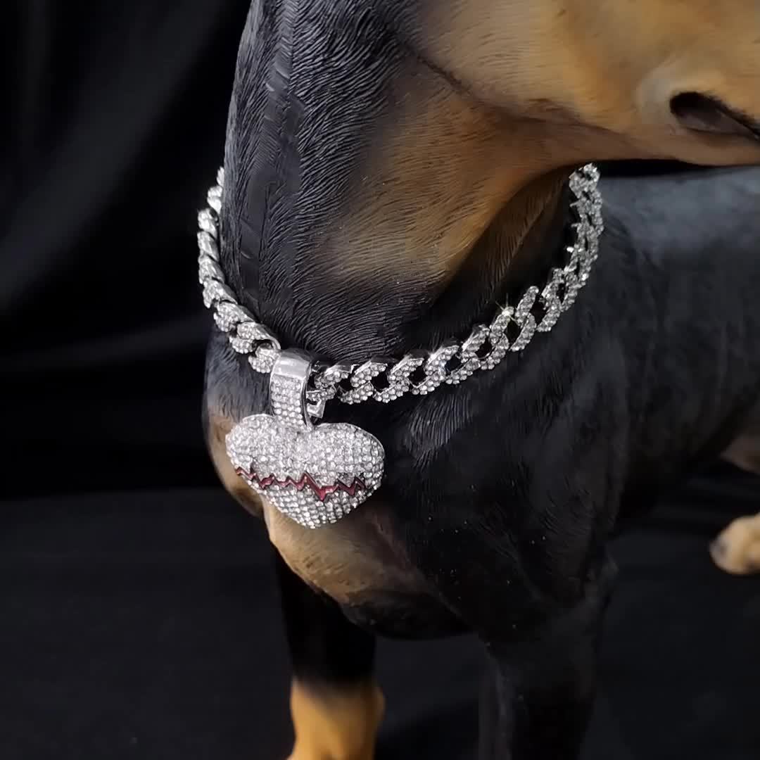 Iced out dog clearance collar