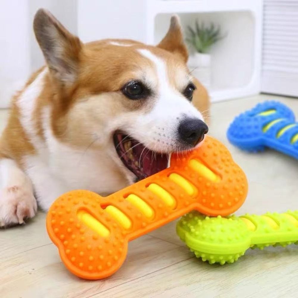 2pcs Wear-Resistant Squeaky Chew Stick Dog Toy Set