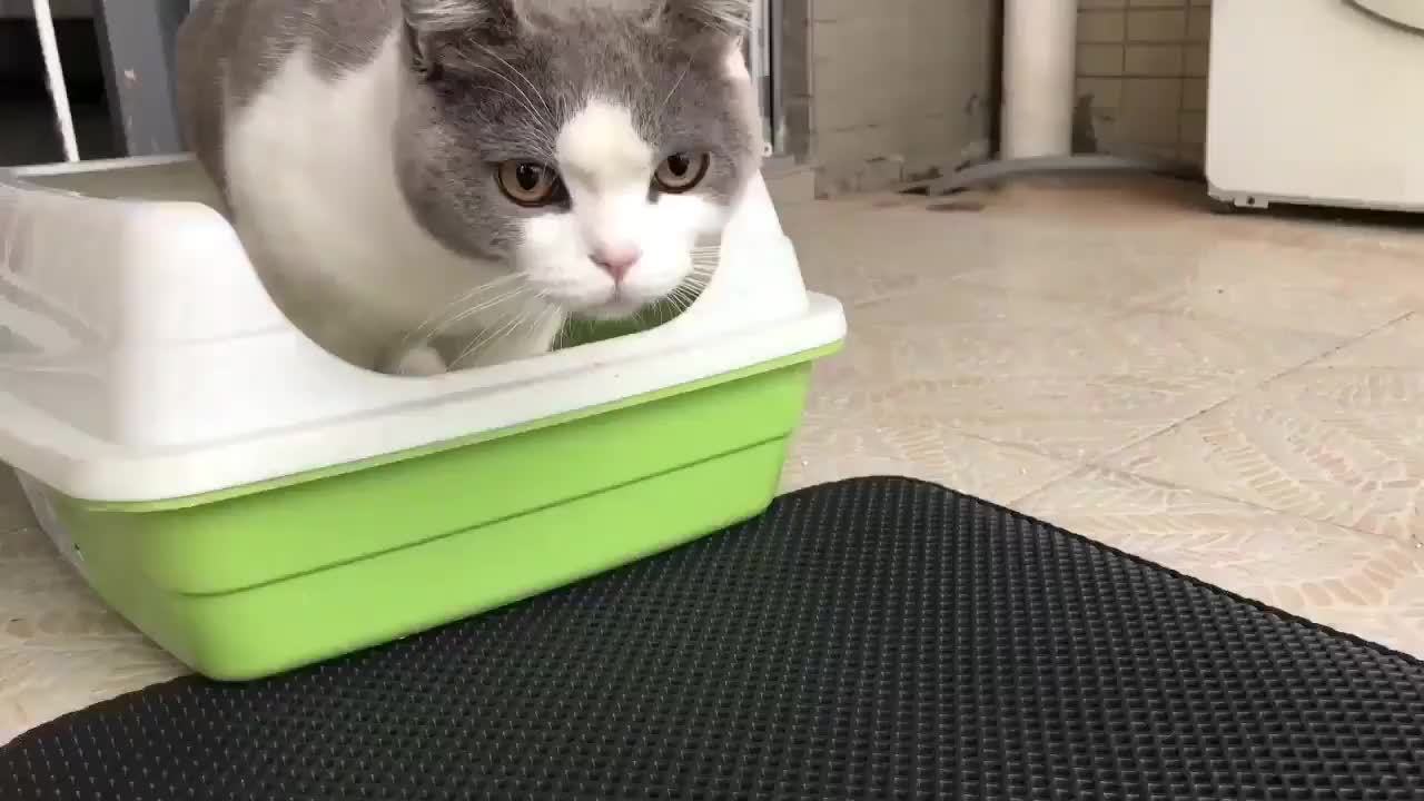 Cat Litter Mat, Soft & Comfortable Cat Litter Trapping Mat, Litter Box Rug