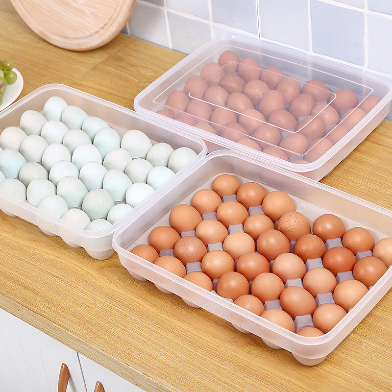 50 Pack Large Plastic Egg Cartons 1 Dozen Clear Duck Egg Cartons Reusable  Egg Cartons Cheap Bulk Large Egg Tray Egg Storage Holder for Refrigerator