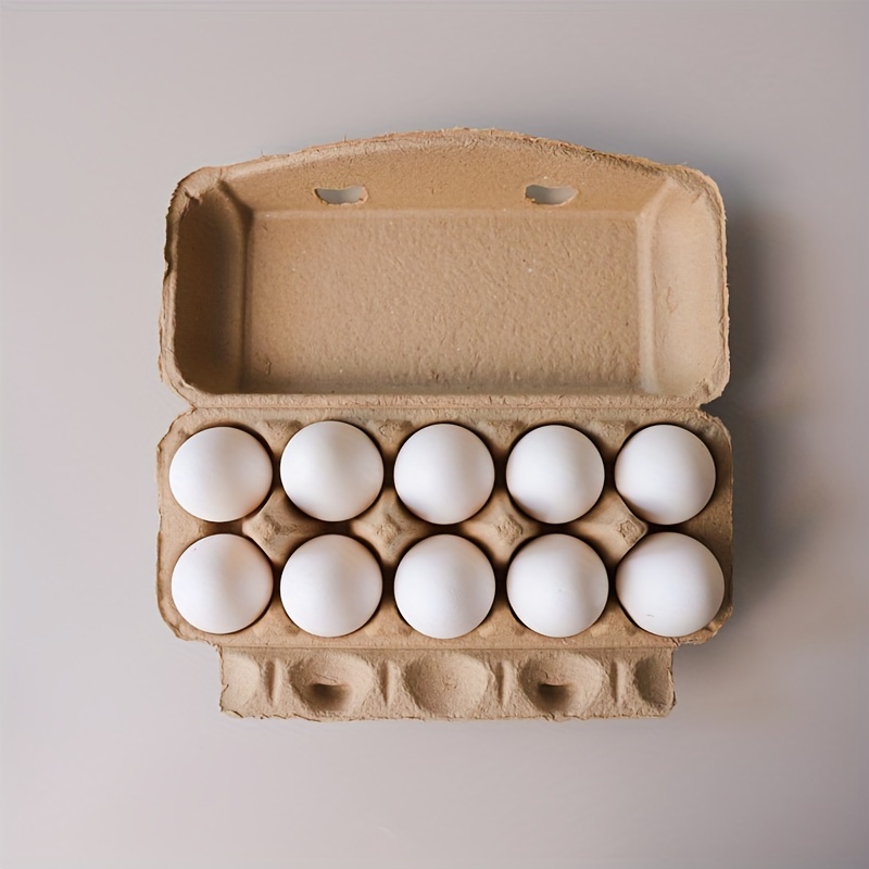 24Pcs Plastic Egg Cartons Clear Chicken Egg Tray Holder for Family