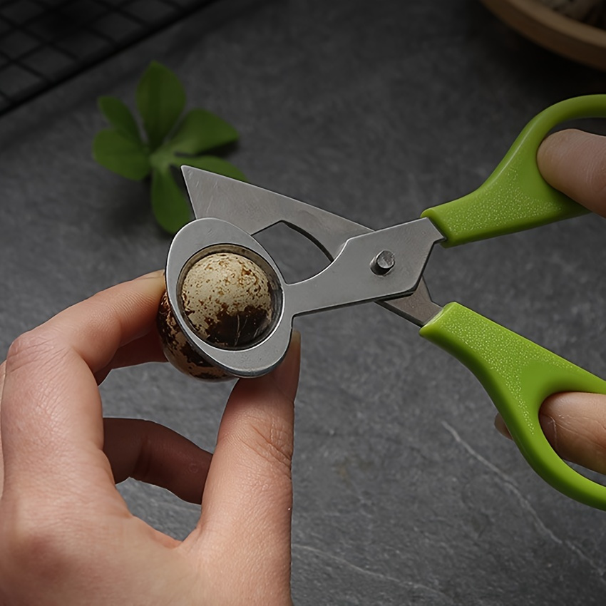 Hot Sale Kitchen Scissors Stainless Steel Plastic Handle Egg Cutter  Eggshell Cutter Egg Cutter Quail Egg Scissors - China Trimming Scissors,  Bonsai Scissors