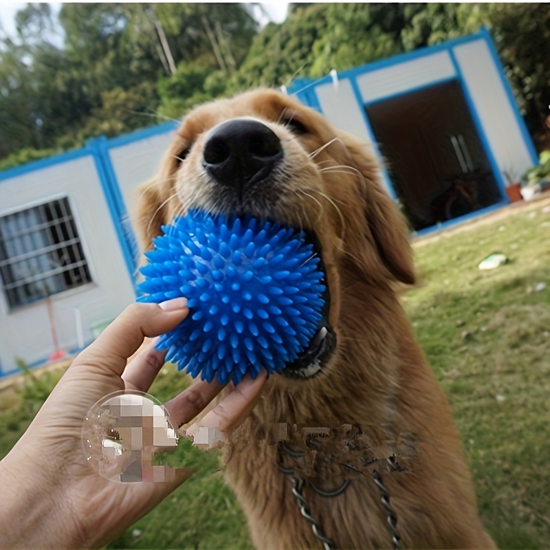 Dog ball outlet glitter