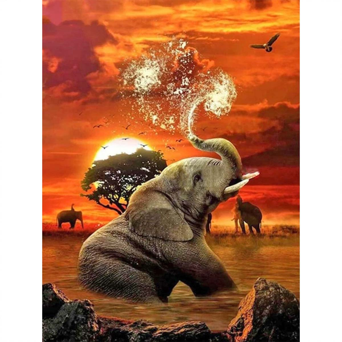 5D Diamond Art Painting Sunrise,Elephant,Animal,Large Size Diamond