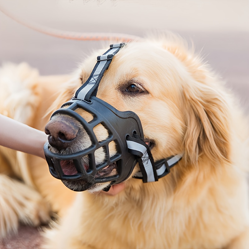 Muzzle for outlet chewing