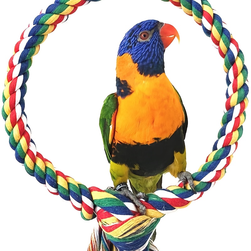 Colorful Rope Bird Stand Perch Parrot Gnawing Toy Parrot - Temu