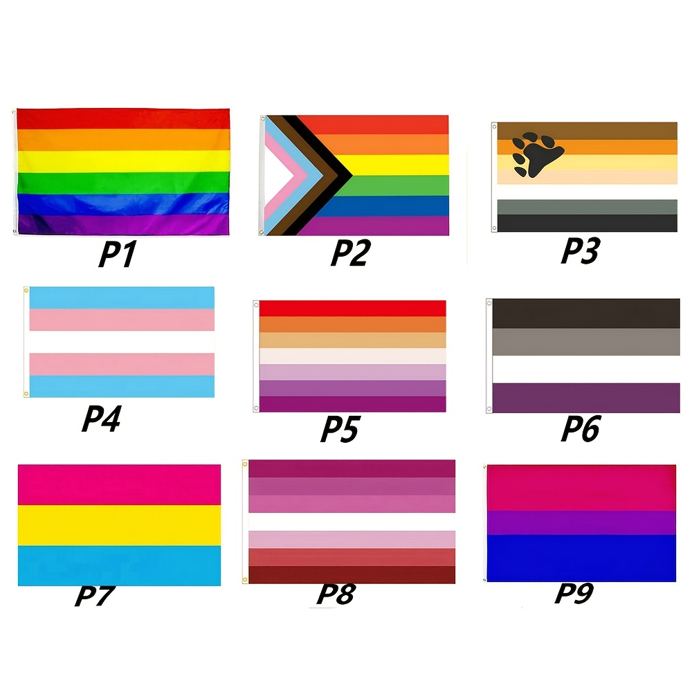 Progress Pride Flag 3x5 Indoor Outdoor- Rainbow Flag for Wall- LGBT Pride  Flag New Rainbow Pride Flag-Double Stitched- Double Sided  Printing-Polyester