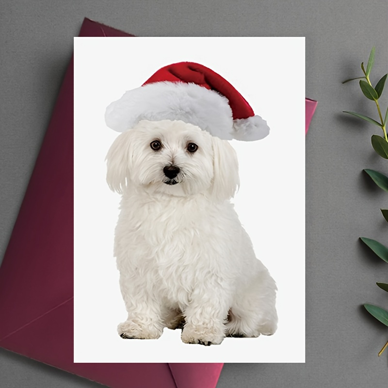 

5-pack Christmas Greeting Cards With White Dog In Santa Hat Design, Perfect For Holiday Gifting To Family And Friends